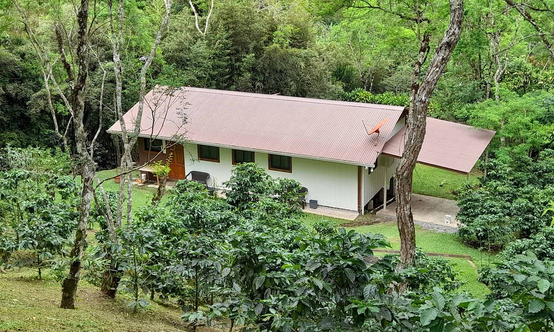 Santa Clara Riverfront Coffee Farm Roots Real Estate