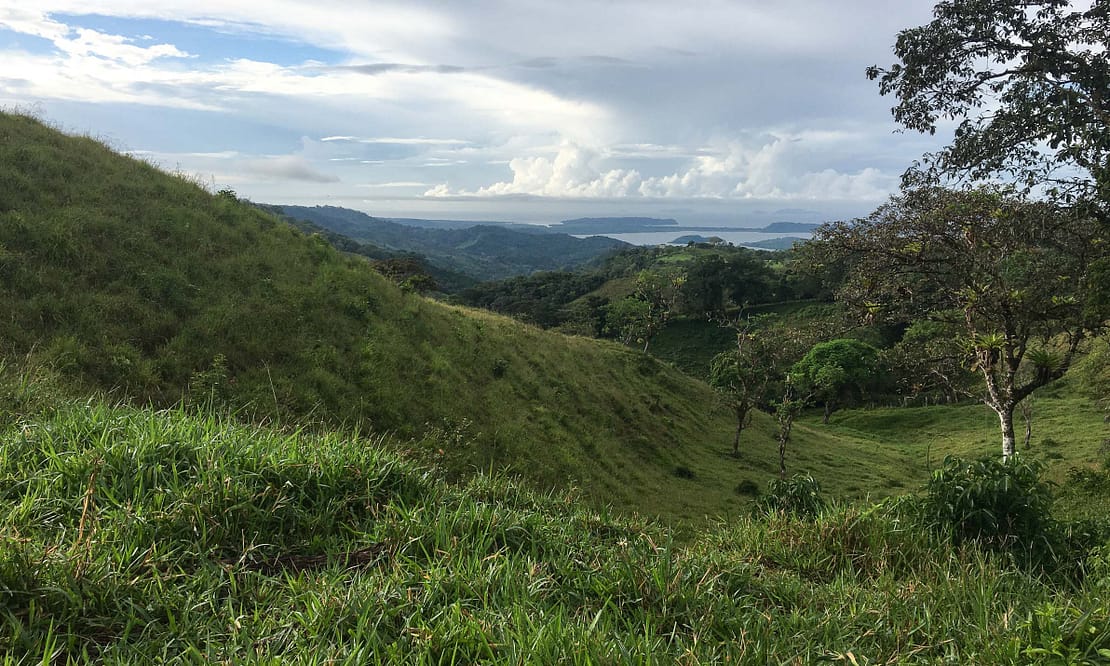 ocean-view-farm-roots-real-estate