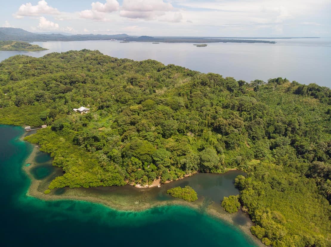 Island Cacao Farm, 300m of reef front - Roots Real Estate